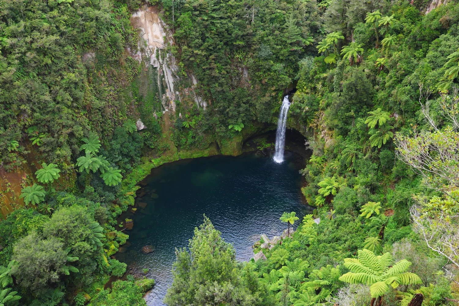 Waterfall in a green forest